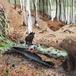 Esempio di tavola illustrata